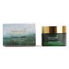 Green Angel - Seaweed Night Cream