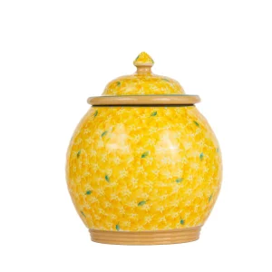 Lawn Yellow Cookie Jar