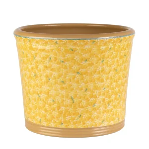 Lawn Yellow Large Cache Pot Indoor
